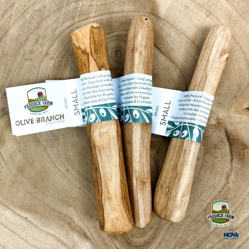 Thumbnail: Origins Olive Wood Branch