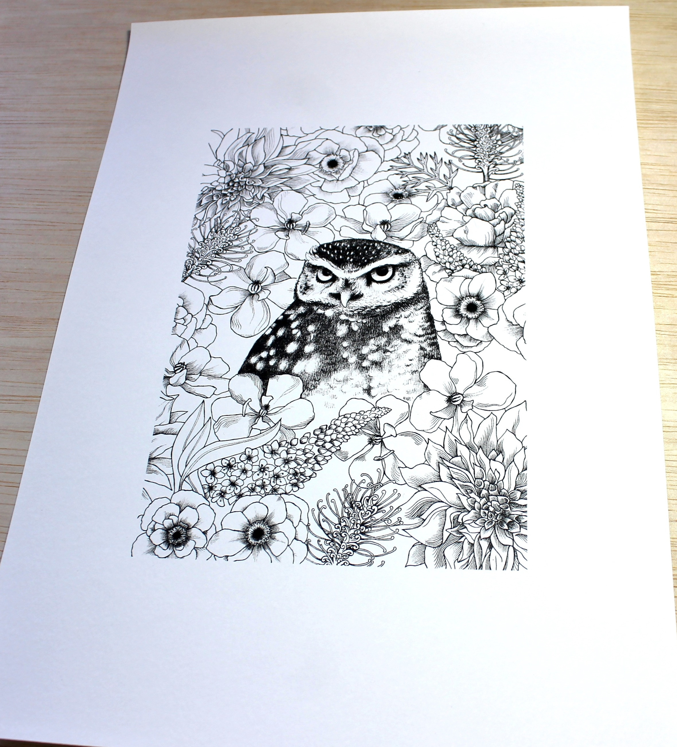 Owl and Flowers black and white PRINT