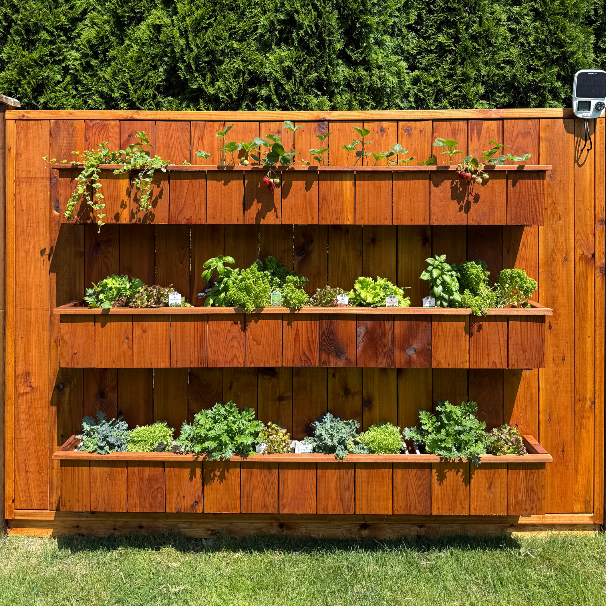 Vertical Garden Fence Panel