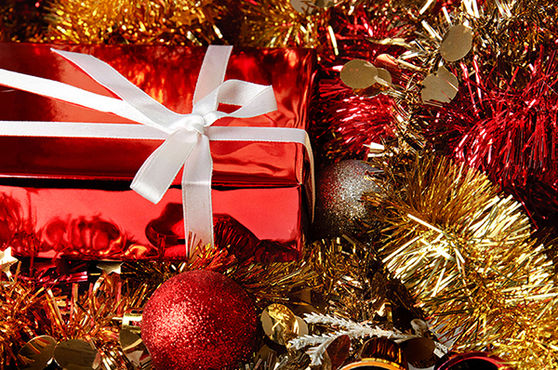 Holiday Gift Guide