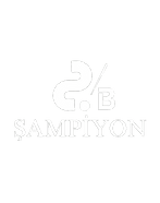 Şampiyon Bilardo