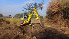 Reforestando Huamuchil2.jpeg