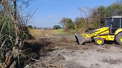 Reforestando Huamuchil.jpeg