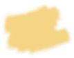 ORANGE SPLAT-02.png
