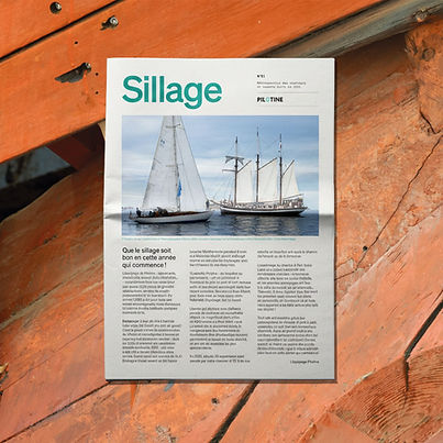 WhatsApp Image 2026-01-28 at 15.26.31.jpeg