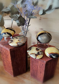 La Septaria est une roche composée de plusieurs minéraux (calcite, argile, aragonite). En lithothérapie, elle est utilisée pour ses bienfaits sur les émotions (libérer le passé, renforcer la confiance en soi, calmer le stress) et le corps (améliorer la digestion, soulager les douleurs articulaires). C'est une pierre d'ancrage et de communication.