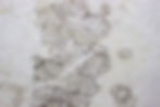 black-mold-on-the-wall-fungus-on-the-wall-after-t