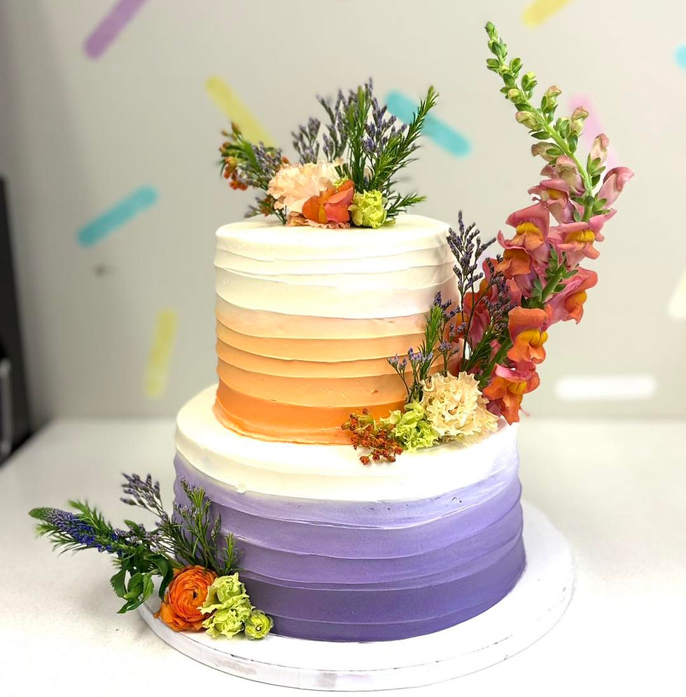 514401588_1195776452350295_7119998978469717448_n