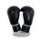 Thumbnail: Sparring Gloves
