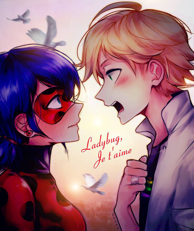 Adrien se declara a ladybug (en francés) !!!