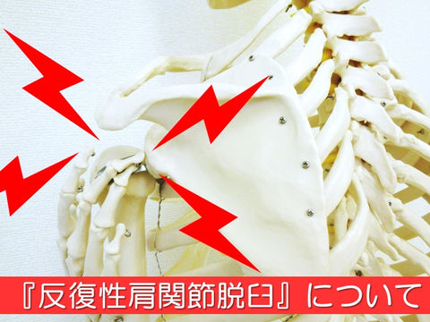 反復性肩関節脱臼ってどんなもの？発生原因や症状を詳しく解説し、当院の施術を紹介します！