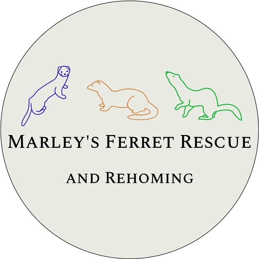 Marleys Ferret Rescue and Rehoming