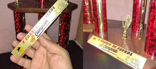 placa de aluminio.jpg