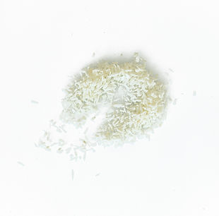 Coconut-Swipe2X2A2949.jpg