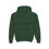 Thumbnail: Youth I Am Powerful Hoodie
