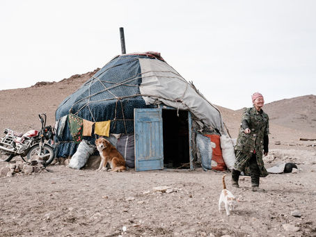 Motorcycle Camping with Pets: Tips and Tricks 🏍️🐾