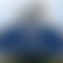 Celebrity Estate Plans Series Part 4 of 4: Elvis and the Scammers