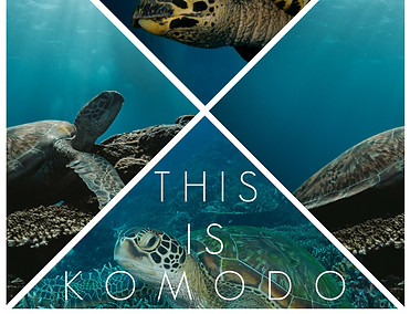 This is Komodo - FB template.jpg