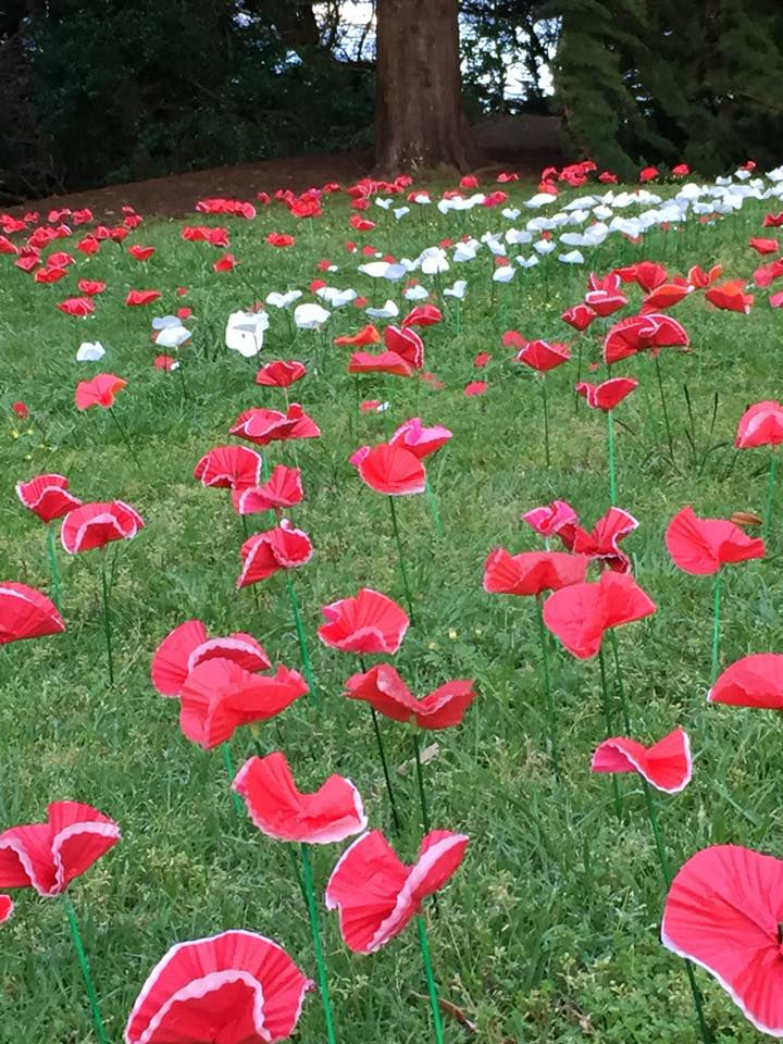 Armistice Day Installation
