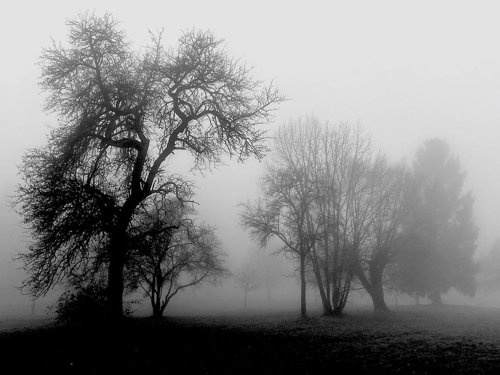 © Manfred Unterweger