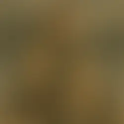 Rituel de recentrage pour le solstice d’hiver, méditation à la bougie dans une ambiance hivernale et mystique