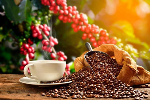 foto-1-cafe-de-colombia-vinculos-monica-sanabria.jpg