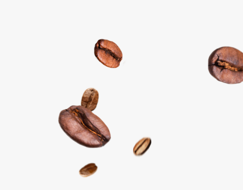 308-3088728_granos-de-cafe-png-transparent-png.png