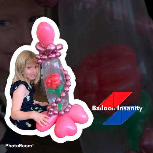 Balloon Twisters (Starting Price) | Balloon Insanity