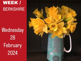 Wales Week / Berkshire : Wednesday 28 February
