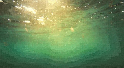 KakaoTalk_20170113_225329173.gif