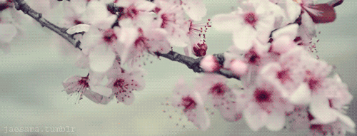 giphy (1) (1).gif