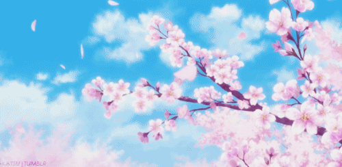 original.gif