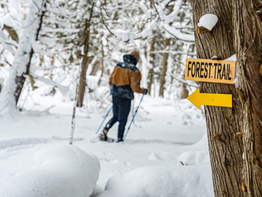 Guest snowshoeing on a snowy forest trail at Boho Beaver, with a visible sign on a tree marked "Forest Trail" pointing the direction.