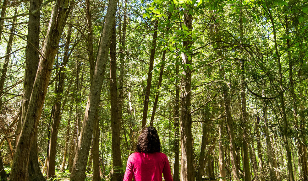 A woman walking the property trails at boho beaver.