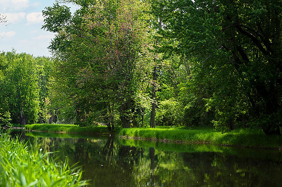 a picturesque view of the beaver valley river with lush nature and sunshine on the boho beaver property.