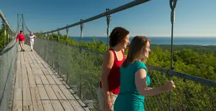 People enjoying the suspension bridge and looking off into the picturesque scenery at Scenic caves nature adventures.