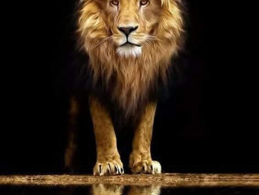 SAMOODRŽANJE U SLIKOVNICI