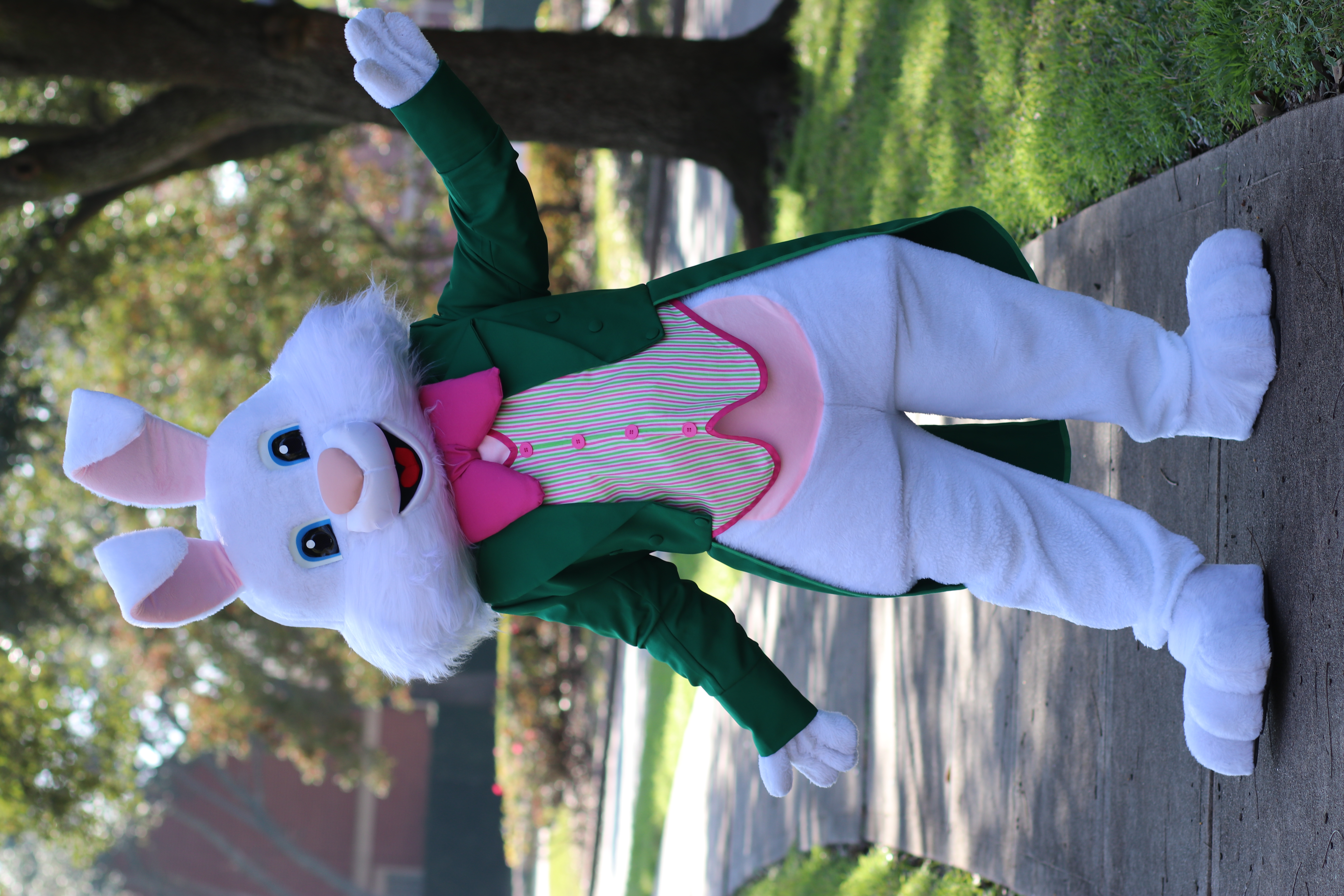Green Bunny8