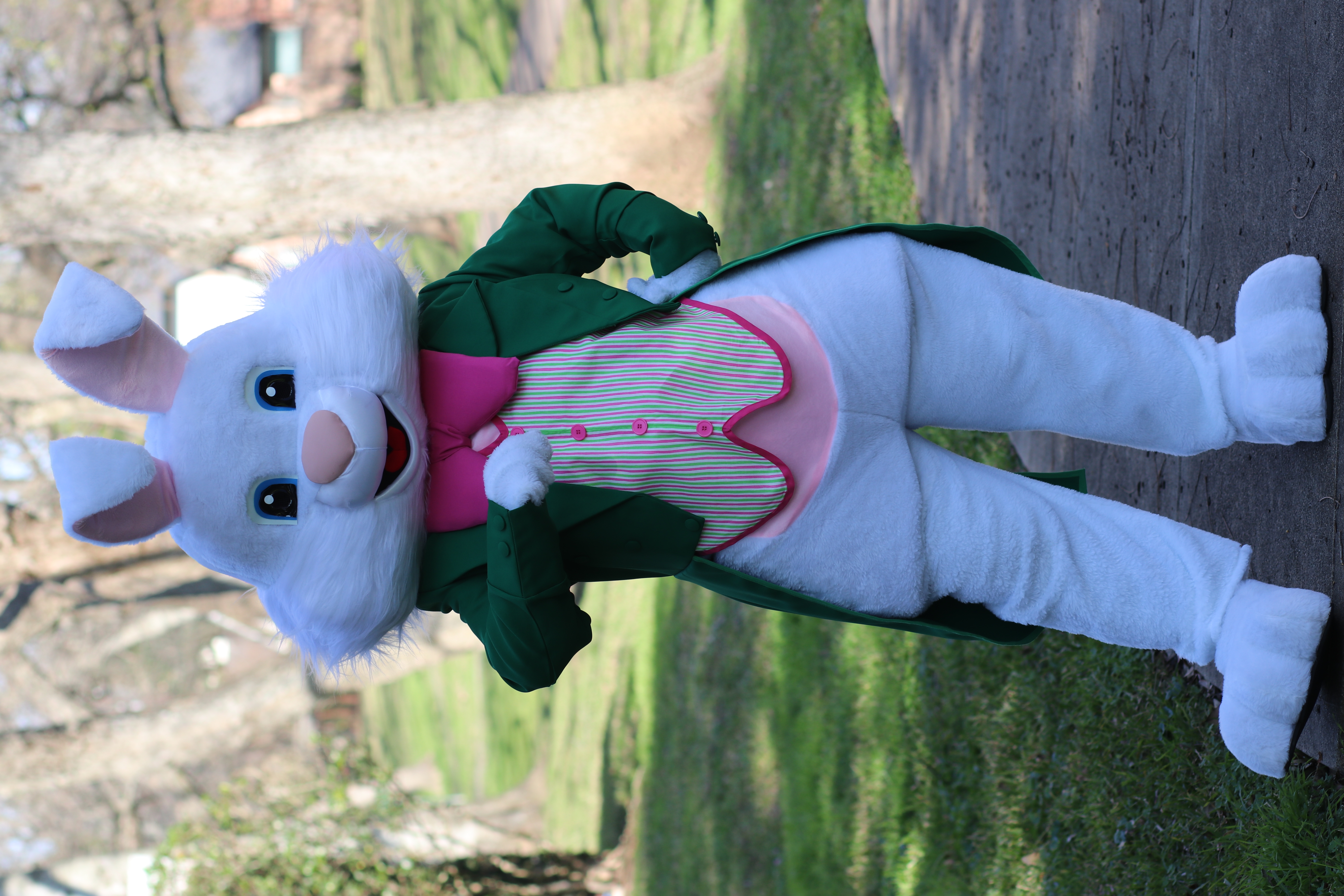 Green Bunny4