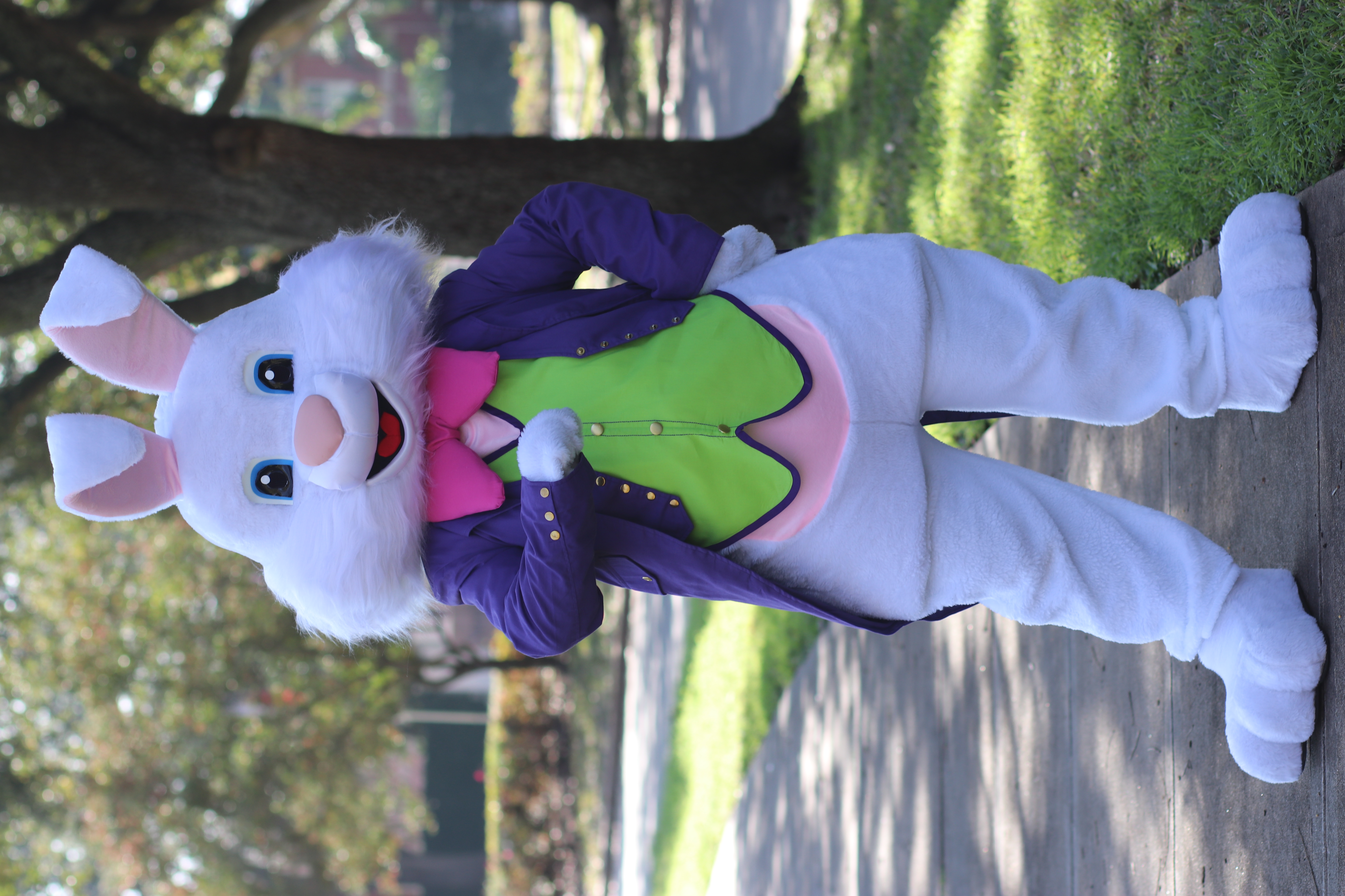 Purple Bunny5