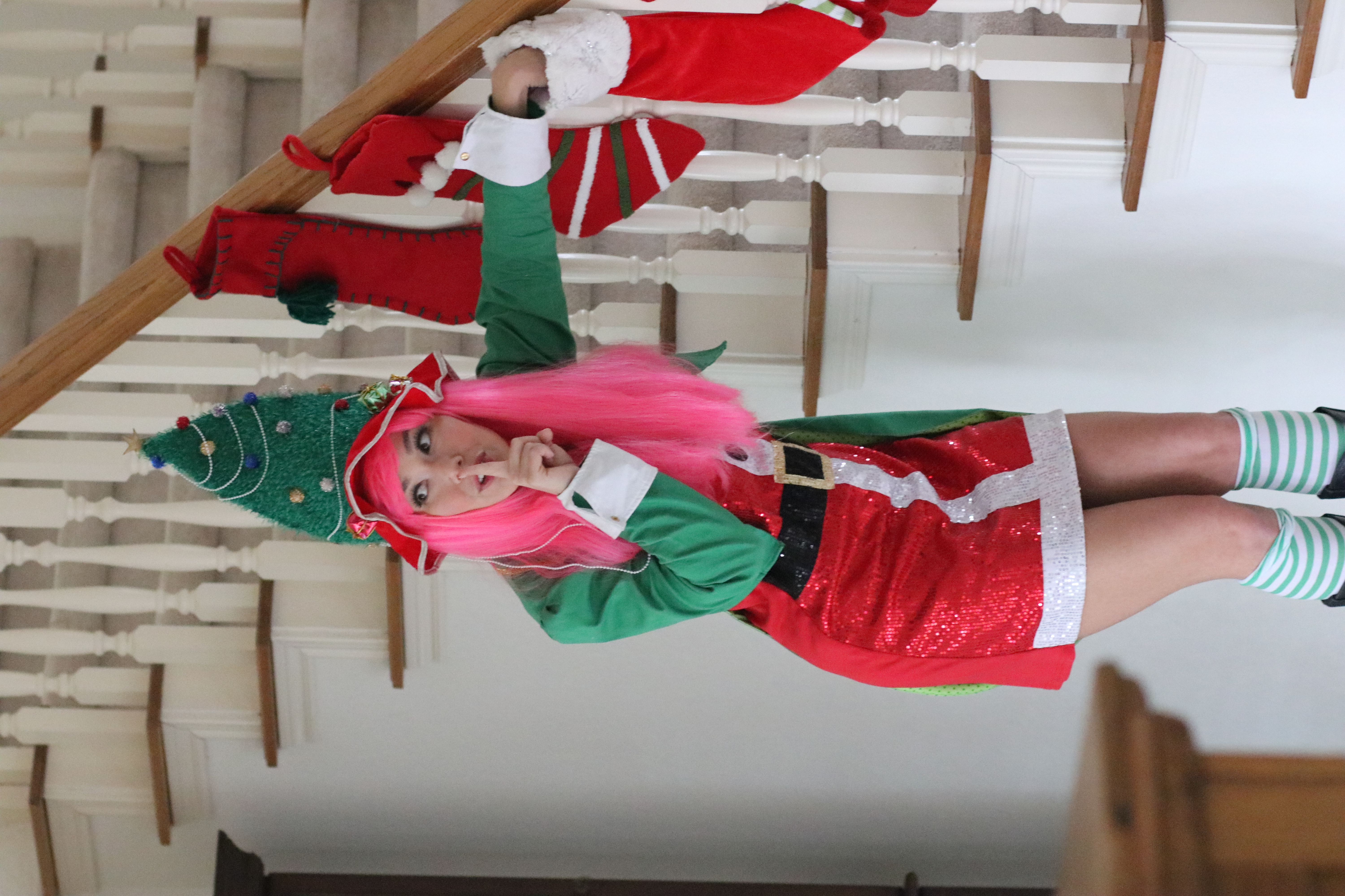 Elf Cara 13