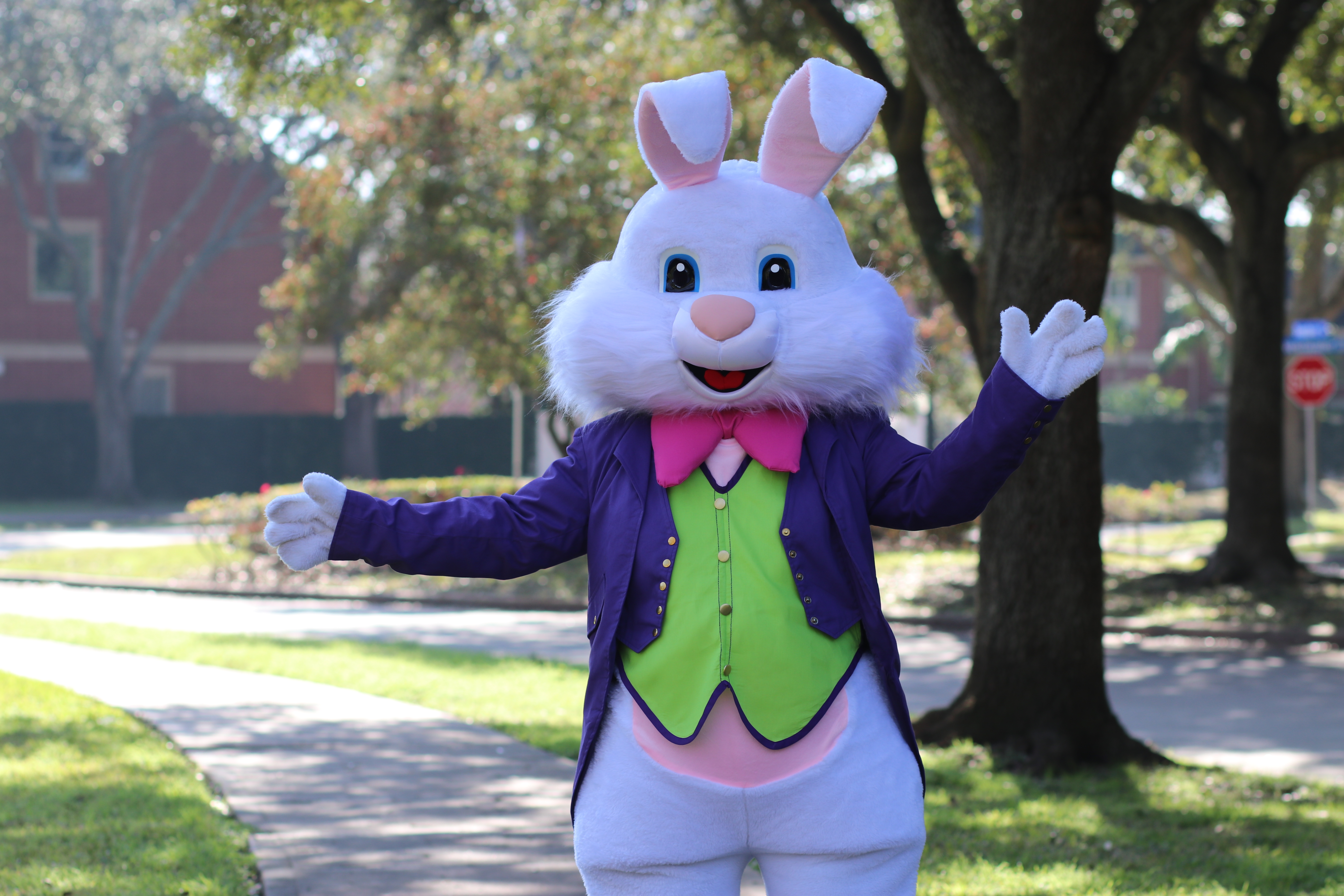 Purple Bunny3