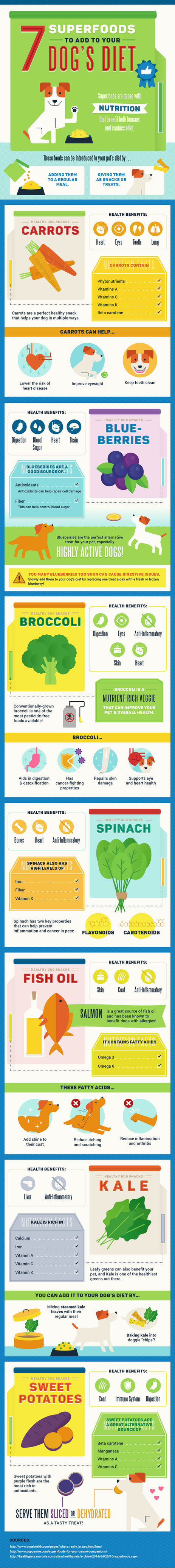Super Foods for Rover