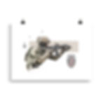 Museum-quality print of Poland's Jednostka Wojskowa Komandosów, the oldest active special-operations unit