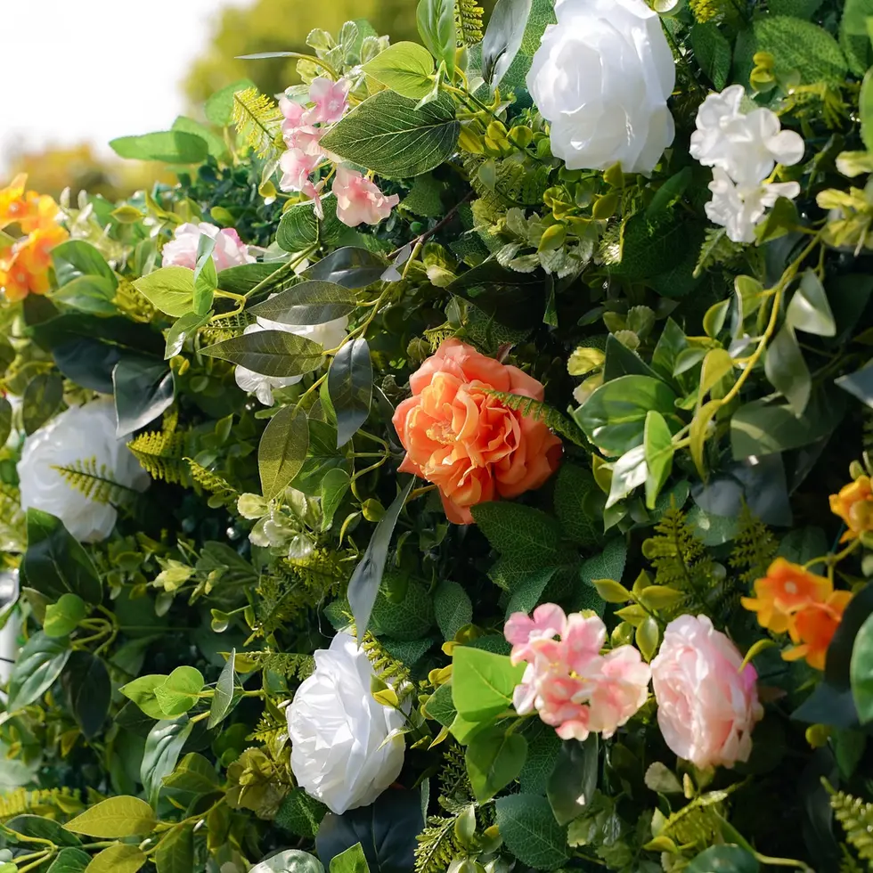 Luxury 3D colorful flower and greenery wall rental in Long Island, NY – ideal for weddings, events, and photo backdrops. Elegant floral decor with a natural touch. Reserve your stunning backdrop today!