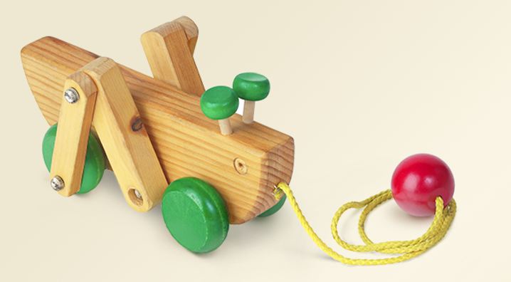 Wooden Bug Crop