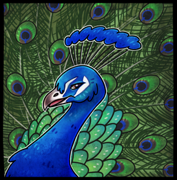Birbtober: Peacock