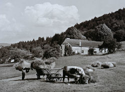 Festival Voyages-8.4