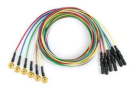 019-47xx00-Grass-reusable-EEG-stamped-cu