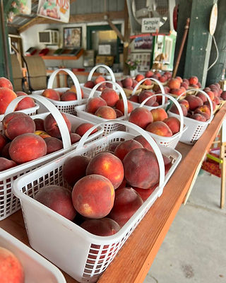 Peaches in baskets ready for sale at Kalawi Farm